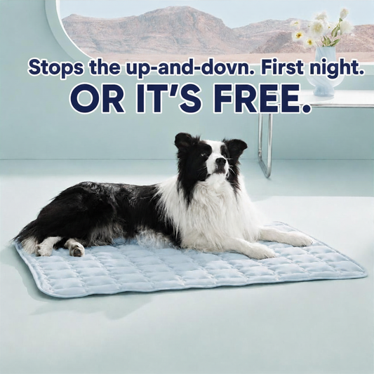 FrostMat™ Self-Cooling Dog Mat